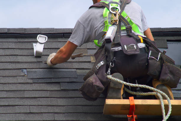 Best Roof Leak Repair  in Chigan Center, MI